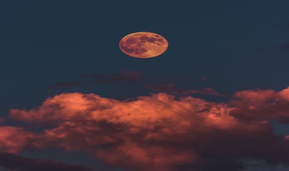  العرب اليوم - 