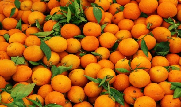  العرب اليوم - 
