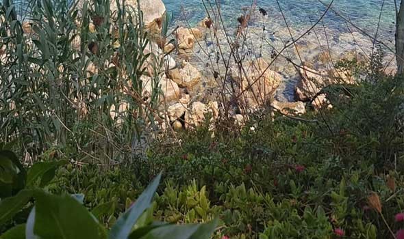  العرب اليوم - 